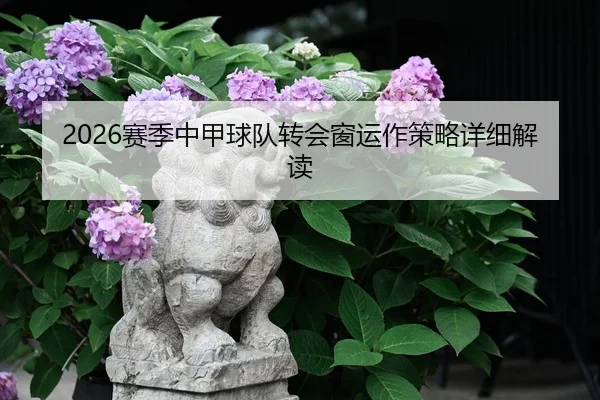 2026赛季中甲球队转会窗运作策略详细解读